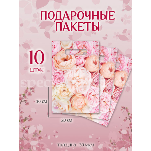 ���� ����� ���������� ������� � ������� 