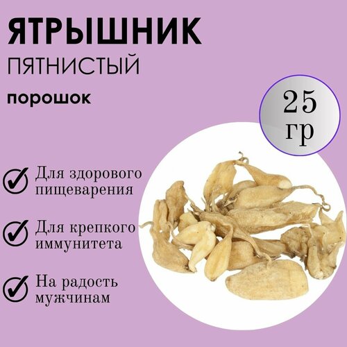 ���� �������� 