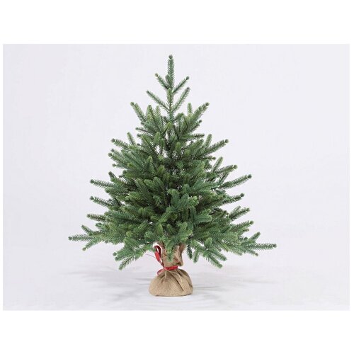 ���� ��� ������������� ���� ���� ��������, 60 ��