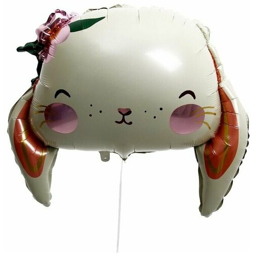 ���� ��� �������������� 26