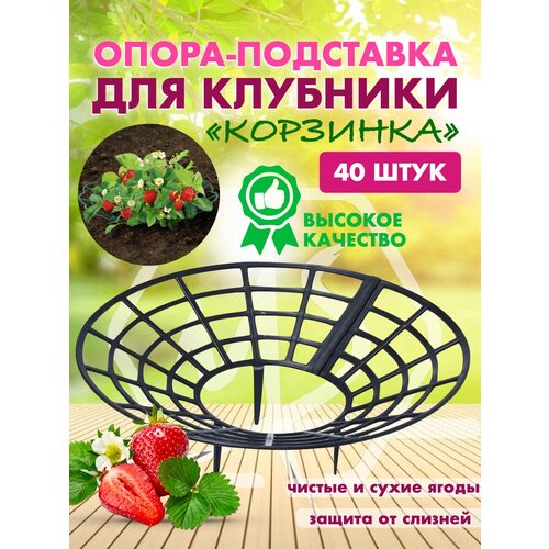 ���� ��������� ��� ��������, �����, ��������, ��������� ������� ��� ������ ��������, ��������, ������ ����� 40 ����