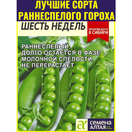 ���� ������ ������� ������ ����� ������ - 10 �. ������ ����������� ��������� �� -6�