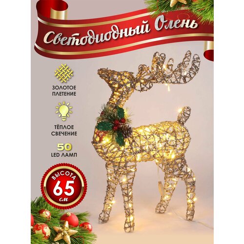 ���� ����� ���������� ������������ ���������� 60 �� �������