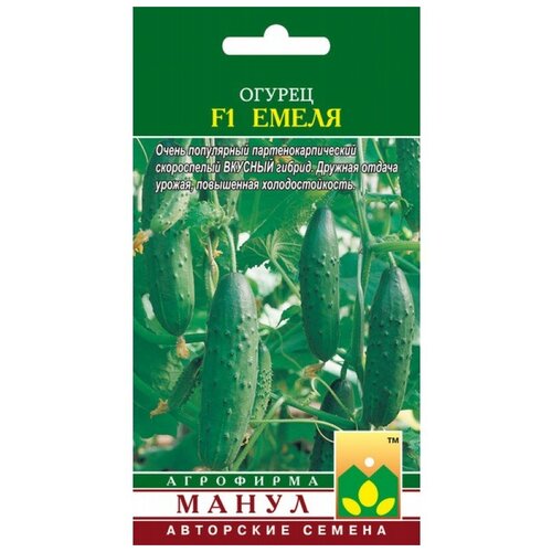 ���� ������ ����� 