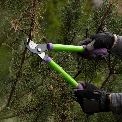 ���� �������� PALISAD �������� ������������ ��������, 60568 350