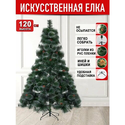 ���� ���� �������������