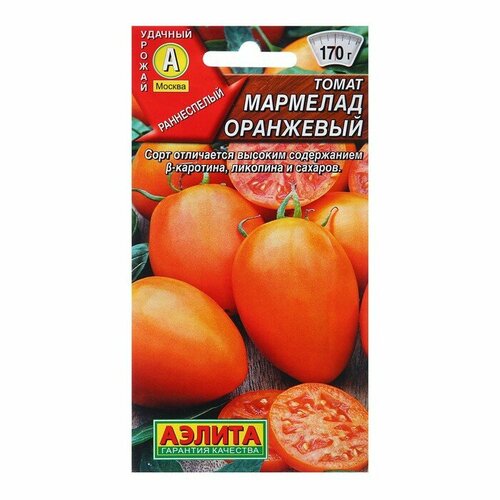 ���� ������ ����� �������� ��������� 20�� ��� ������ (������)