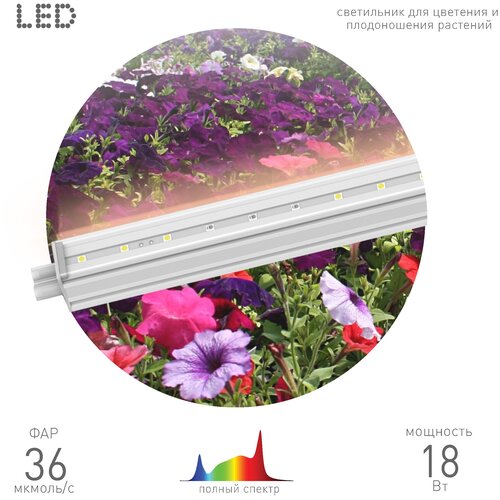        18  LED 5    -     , -  