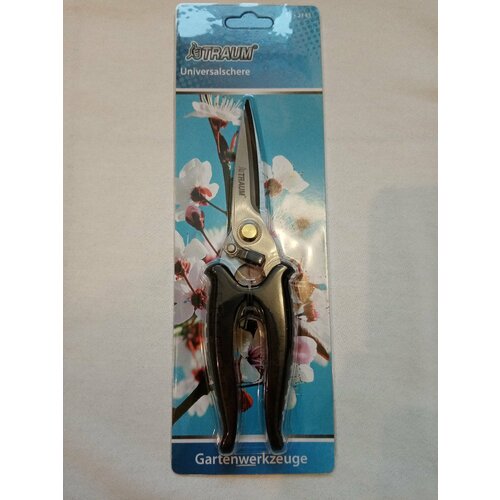 ���� ����-������� ������������� 