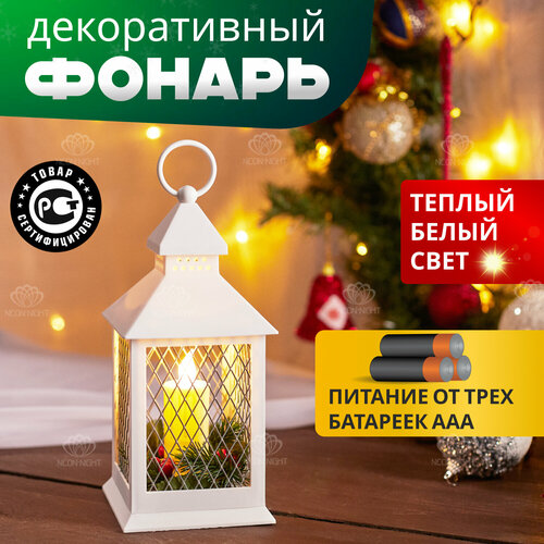 ���� NEON-NIGHT ������ �� �������, 24 ��, �����