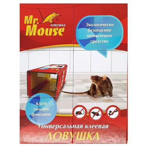     Mr. Mouse      -     , -,   