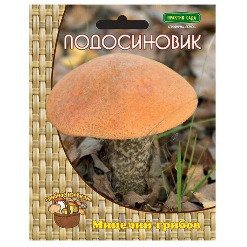 ���� ����������� (������� �� ��������), ��