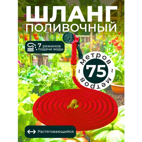 ���� ����� ������� ���������� ���������������