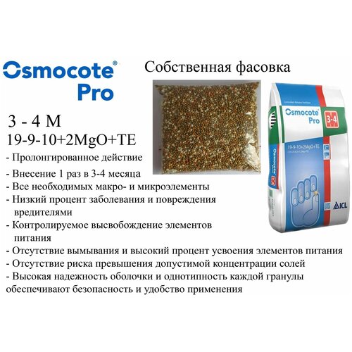     3-4  0,5 . Osmocote Pro 3-4 M 19-9-10+2MgO+TE  -     , -,   