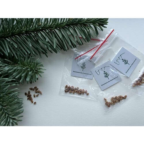 ���� ������ ������������ ������������