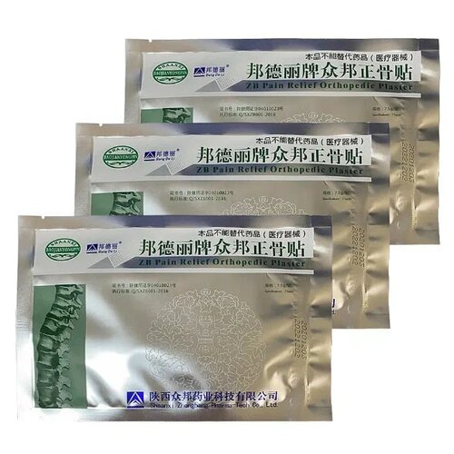   Bang De Li ZB Pain Relief Orthopedic Plaster, 1 ., 3 .  -     , -  