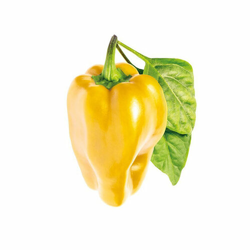  Click And Grow   Click And Grow Yellow Sweet Pepper 3 .    Click And Grow   