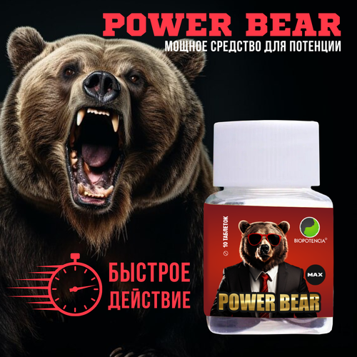     Power Bear Max, 10   -     , -  