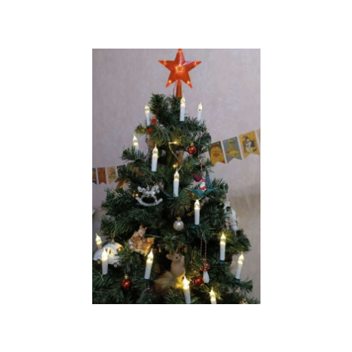 ���� �������� ������ 4 � � ��������� ������ �� ��������, IP20, ����� ����, 20 LED, �������� ����� �����, 220 �