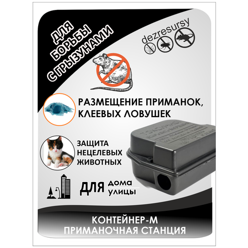 ���� ���������-�