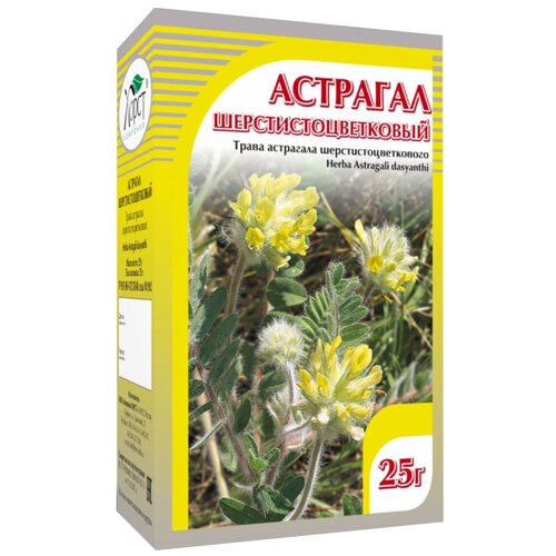 ���� ����� ����� �������� ������������������, 35 �