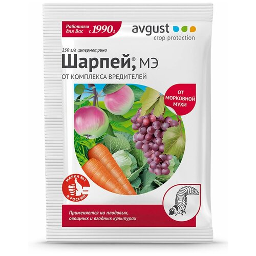 ���� Avgust �������� �� ��������� ���������� ������, 1.5 ��, 10 �