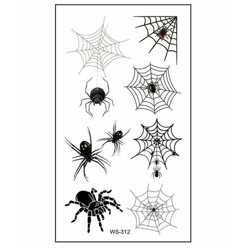 ���� ���������� ���� ��������� ����� ��������