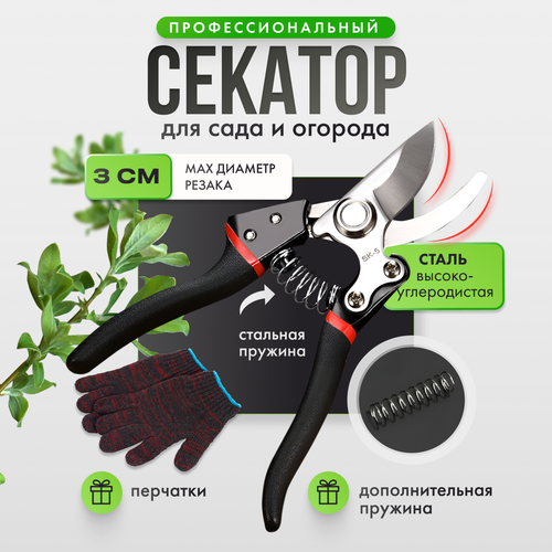 ���� ������������� ���������������� ������� ������� ������� ������� ��� ���� � �������