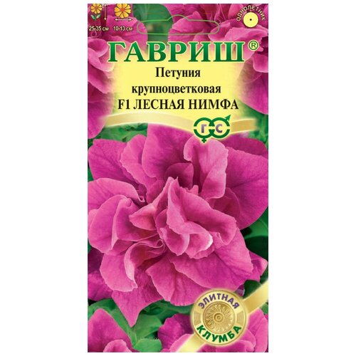 ���� ������. ������� �������� 