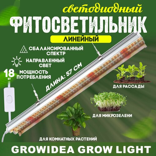        Led         -     , -,   