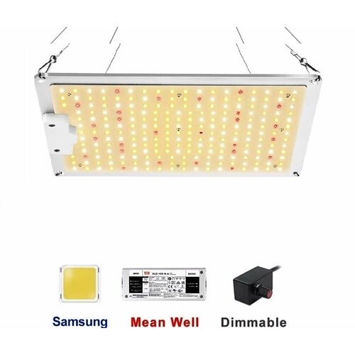    ,  quantum board ( ) SL1000:  Samsung LM281b+,  Mean Well   .