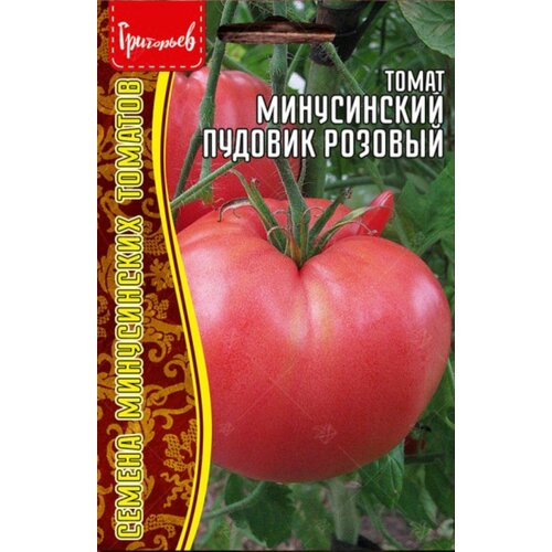 ���� ������ ������ 