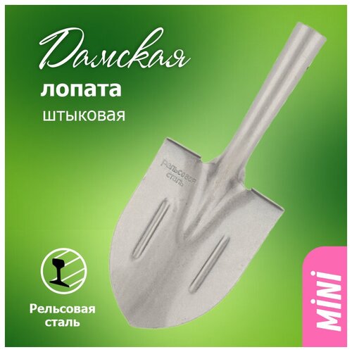 ���� ������ ������� �������� �� ��������� ����� ������� � ������� ��������� ��� �������