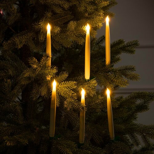 ���� ������������ ����� �� ��������� 19 ��, 6 ����, ��������� ����1 (�� � ���������), ����� ��, �������� ����� �����