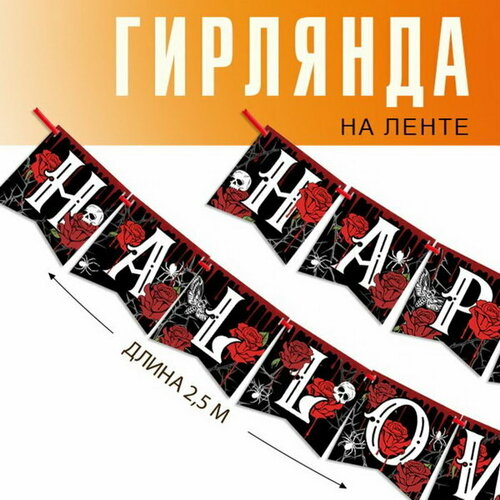 ���� �������� �� ����� 