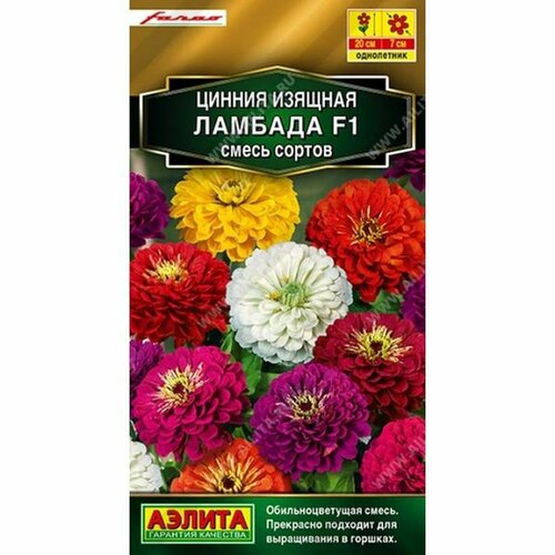 ���� ������ ������ ������� F1, ����� ������ (����������) (������) 12�� Farao