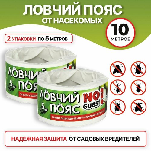 ���� NoGuest! ������ ���� ��� �������� �� ������� ����������, 10 ��, 170 �, 2��.