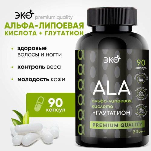 ���� �����-�������� ������� + ��������� ���������� �������� ��� ����������, ������������ ��� ���������, ������� � ����� 90 ��.