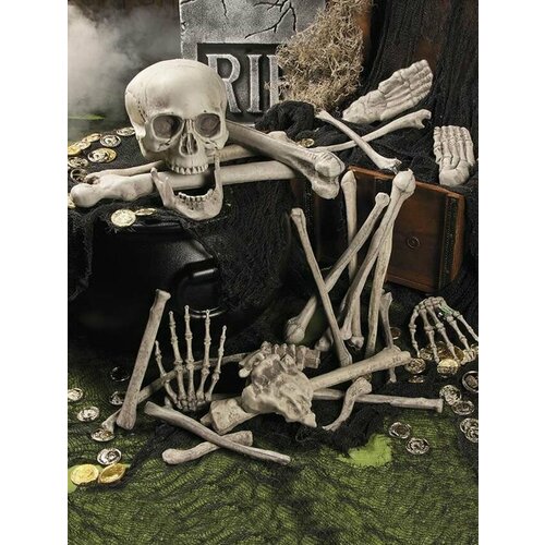 ���� ����� ������ ������ � ������� ����������� ����� ��������� �� ��������