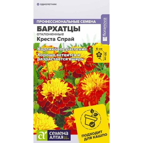 ���� ������ �������� ����������� ������ ����� 10 �� 30�� (������ �����)