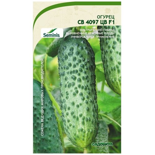 ���� ������ ������ �� 4097 �� F1 5�� �������� (3 ������)