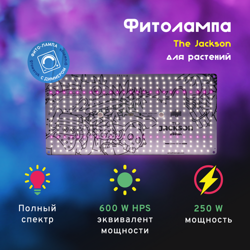   LED  The Jackson 250W    -     , -,   