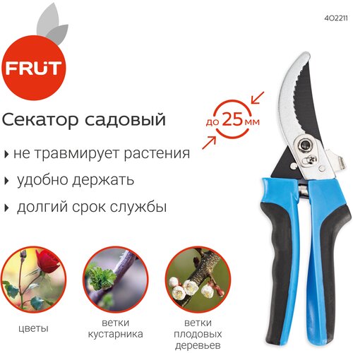      FRUT   /  /    -     , -,   