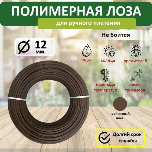 ���� ���������� ���� � �����, ������� 12��, 200�, ����������