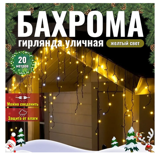 ���� ��������������� ������� �������, ������� �����, 20 ������