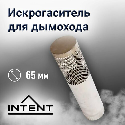 ���� ������������� �������� 65 �� ��� ���� INTENT Fisher
