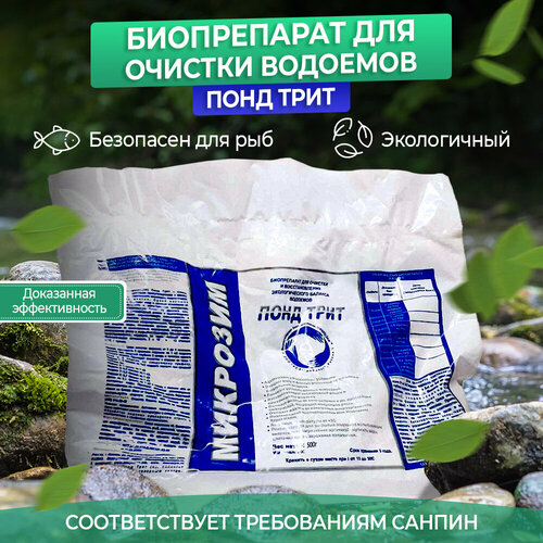 ���� �������� ������ �������� ���� � ����� �������� ���� ���� 13000 �