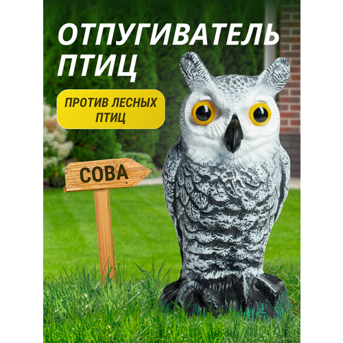 ���� ������������ ���� ������� ����