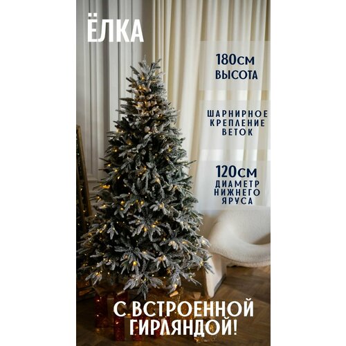 ���� ������������� ���� ����������� � ���������� ���������, �����+���, 180��