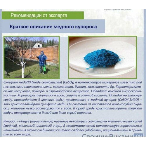 ���� ������ ������� 1�� (������ �������)